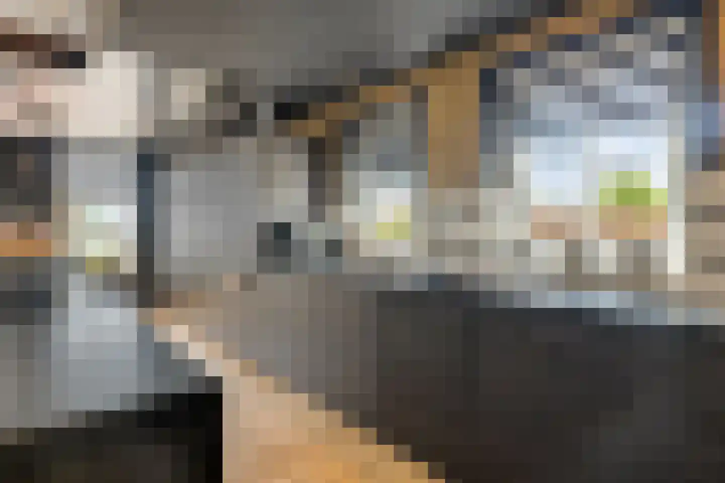 Elft 73 Hippolytushoef thumbnail 24