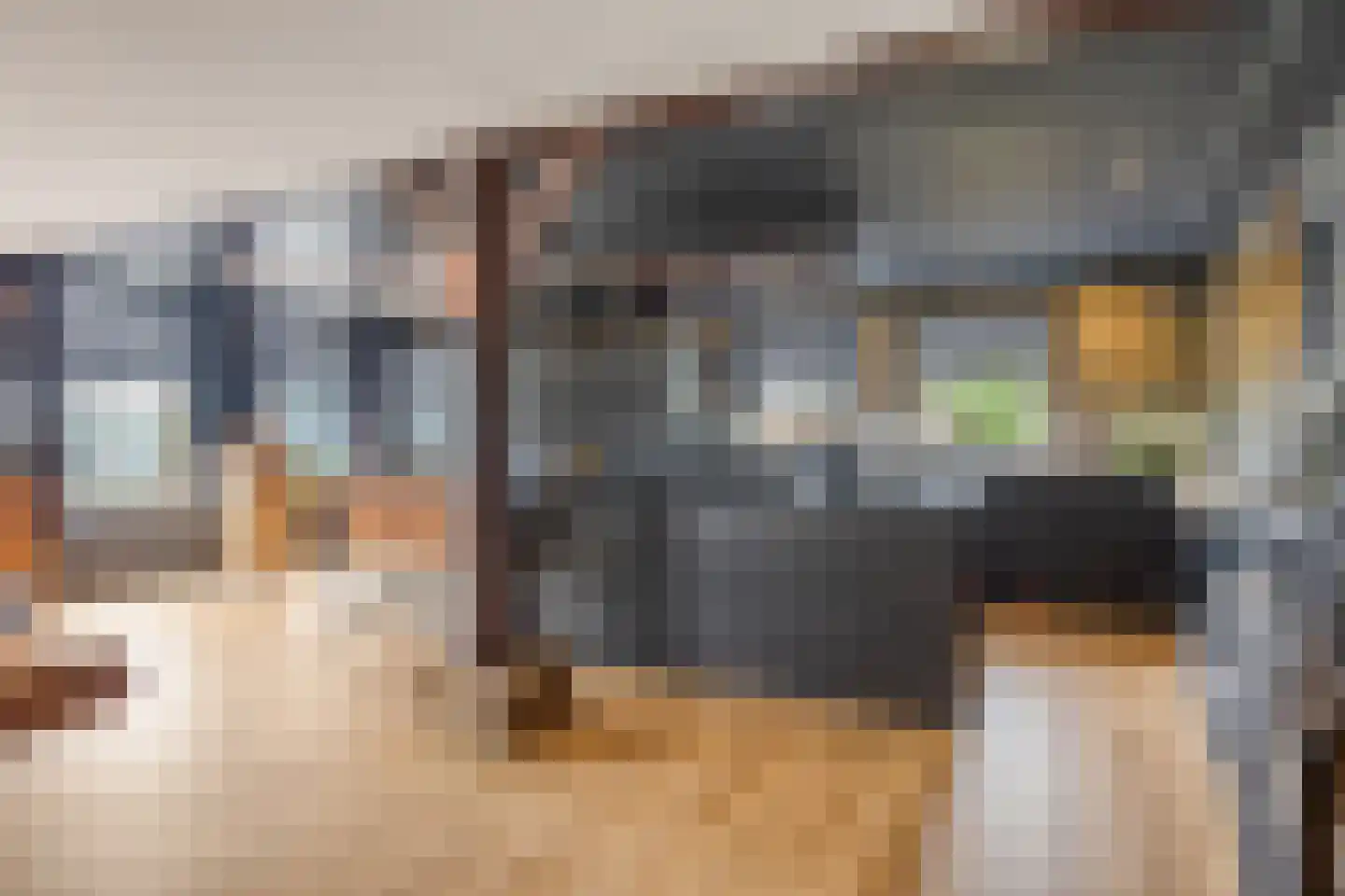 Elft 73 Hippolytushoef thumbnail 25