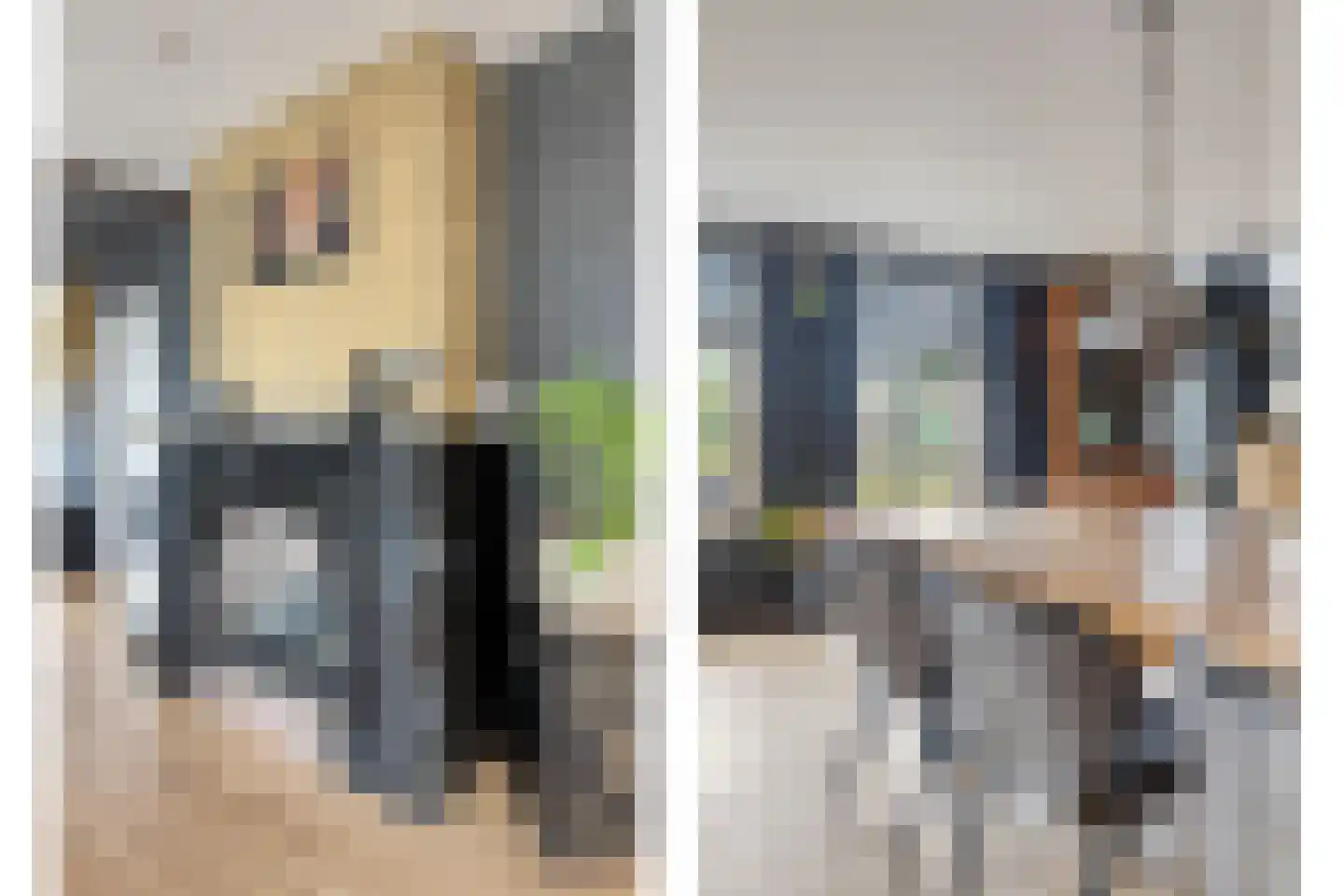 Elft 73 Hippolytushoef thumbnail 26