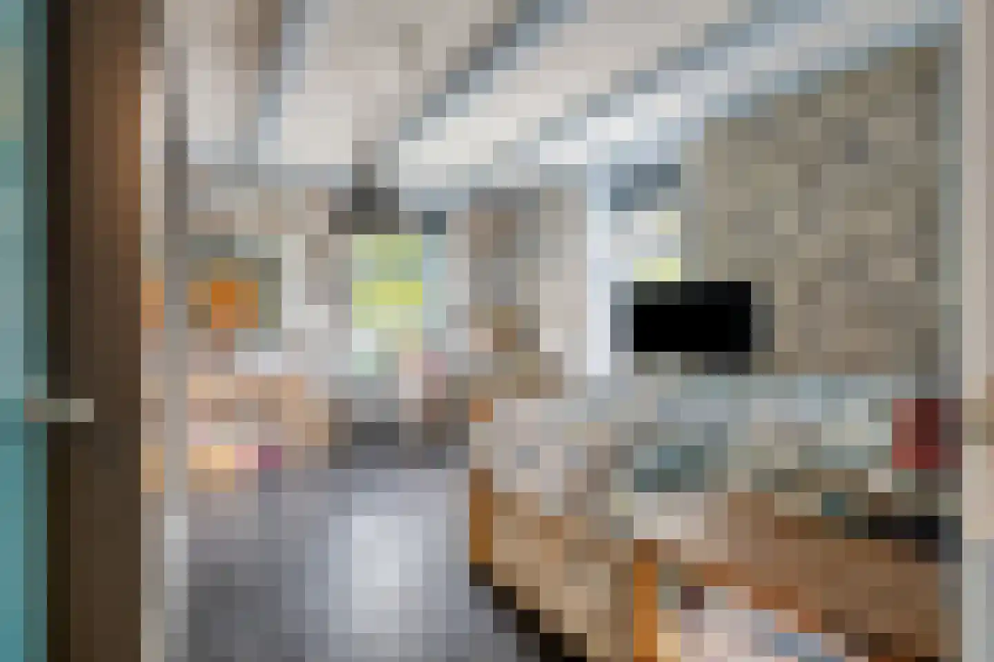 Elft 73 Hippolytushoef thumbnail 30