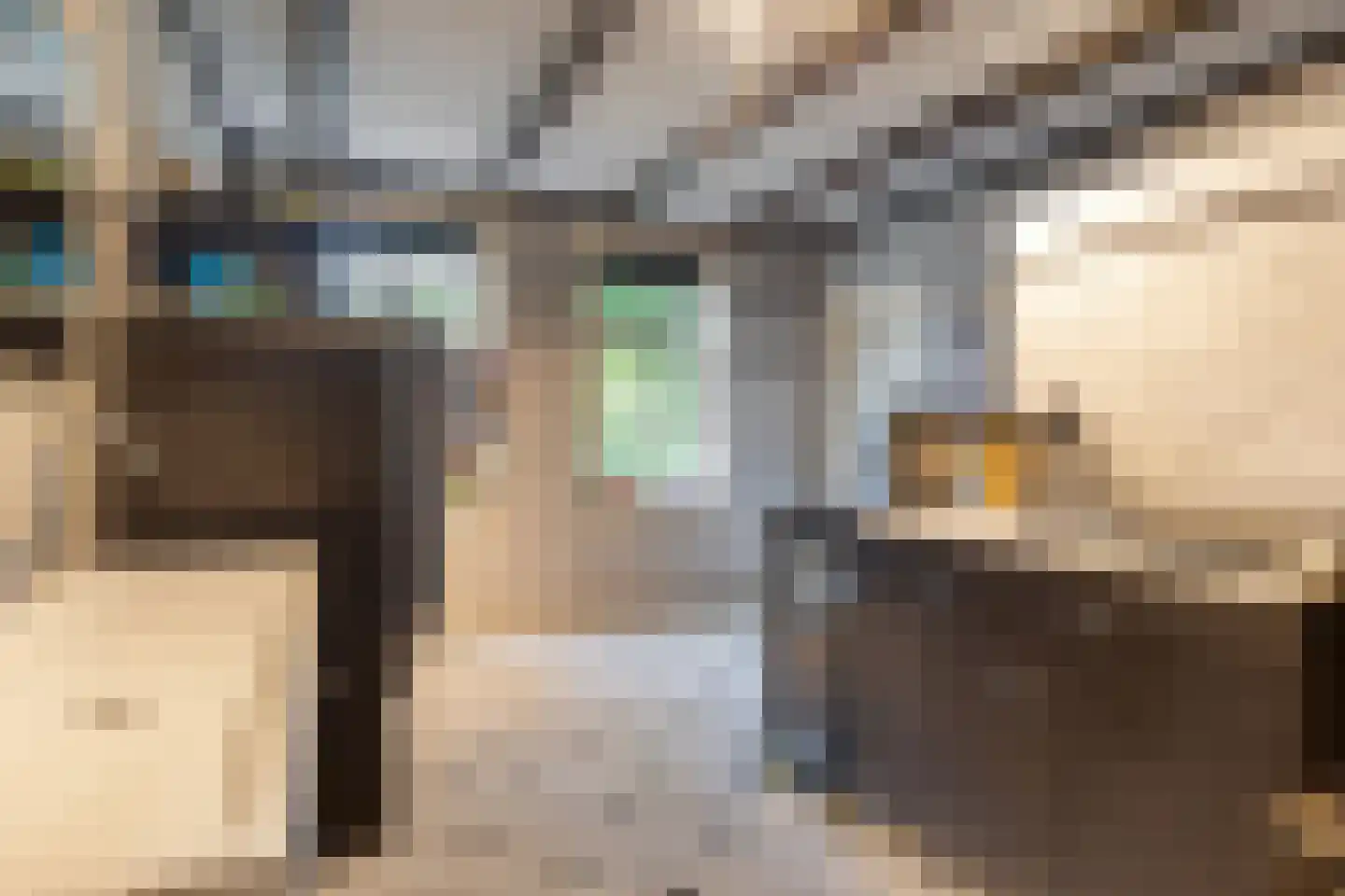 Elft 73 Hippolytushoef thumbnail 33