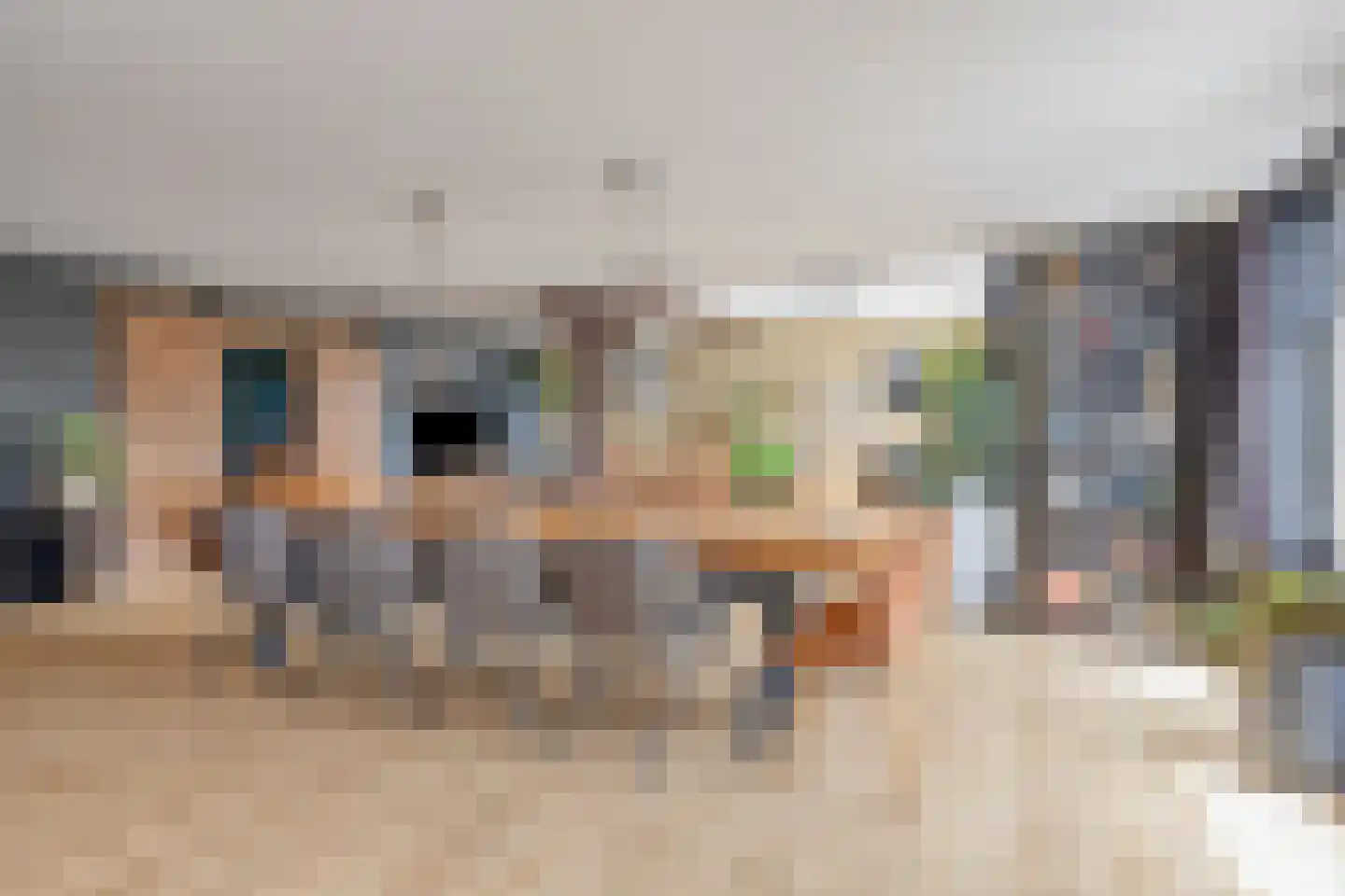Elft 73 Hippolytushoef thumbnail 4