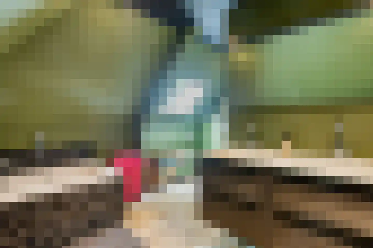 Elft 73 Hippolytushoef thumbnail 42