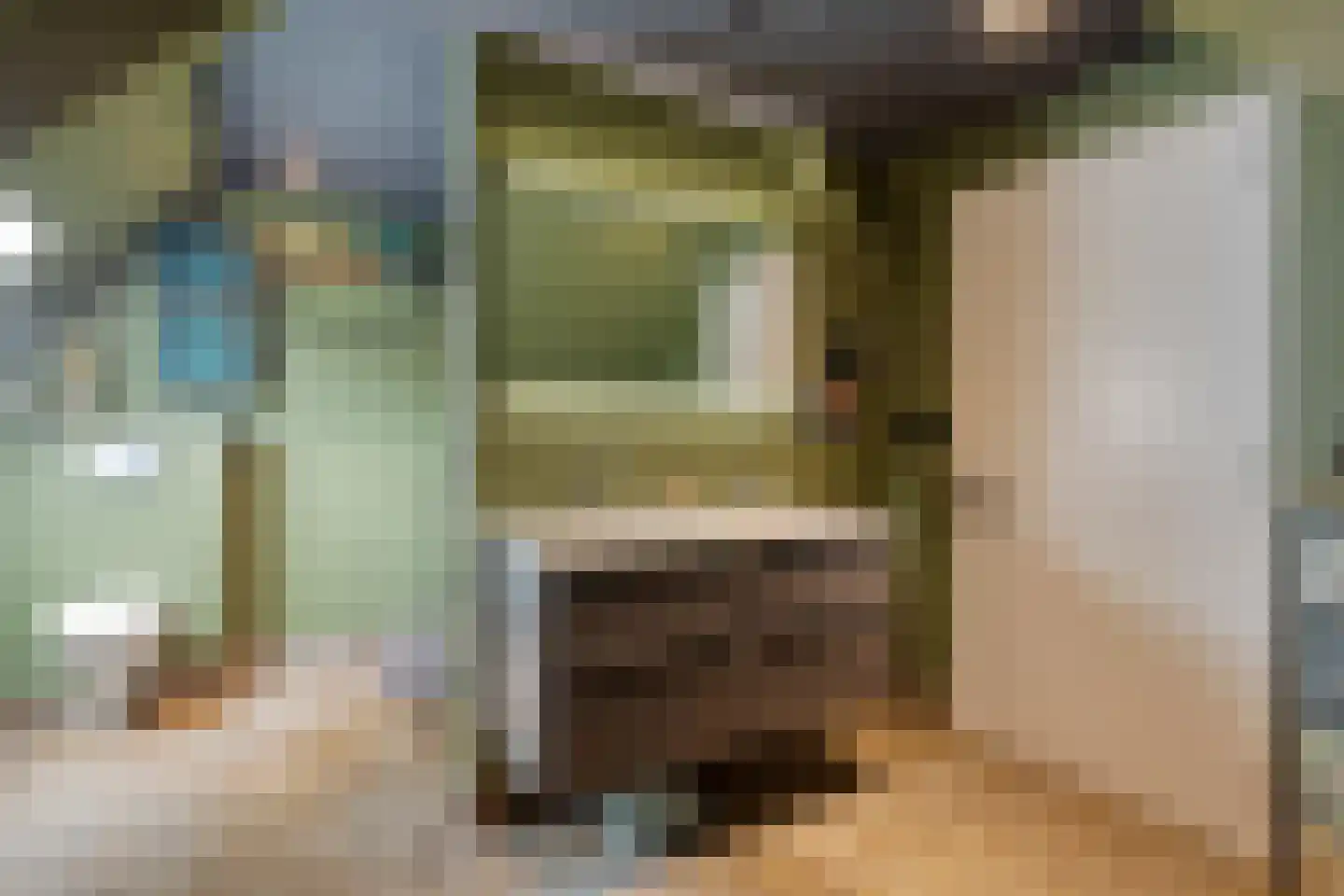 Elft 73 Hippolytushoef thumbnail 43