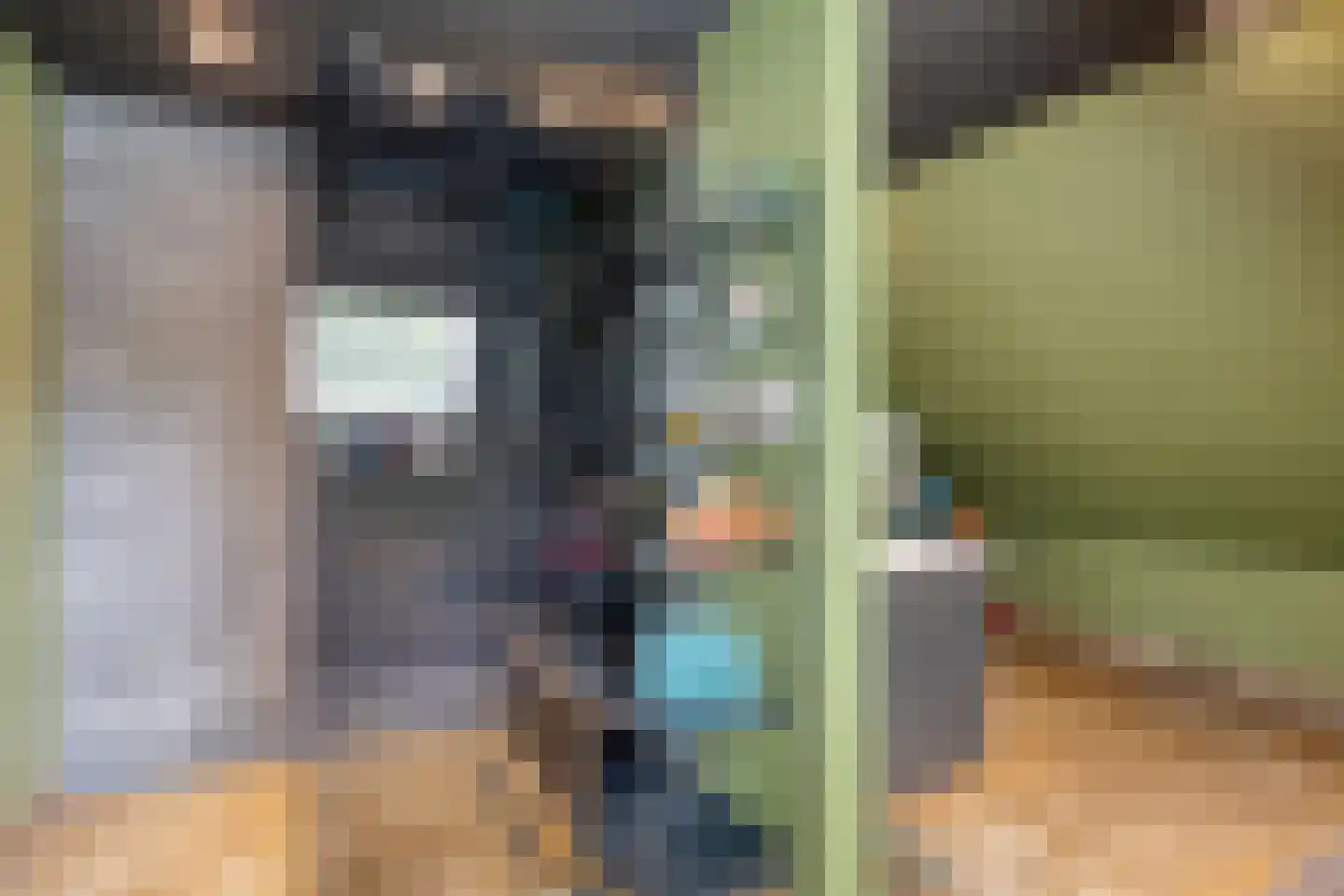 Elft 73 Hippolytushoef thumbnail 44