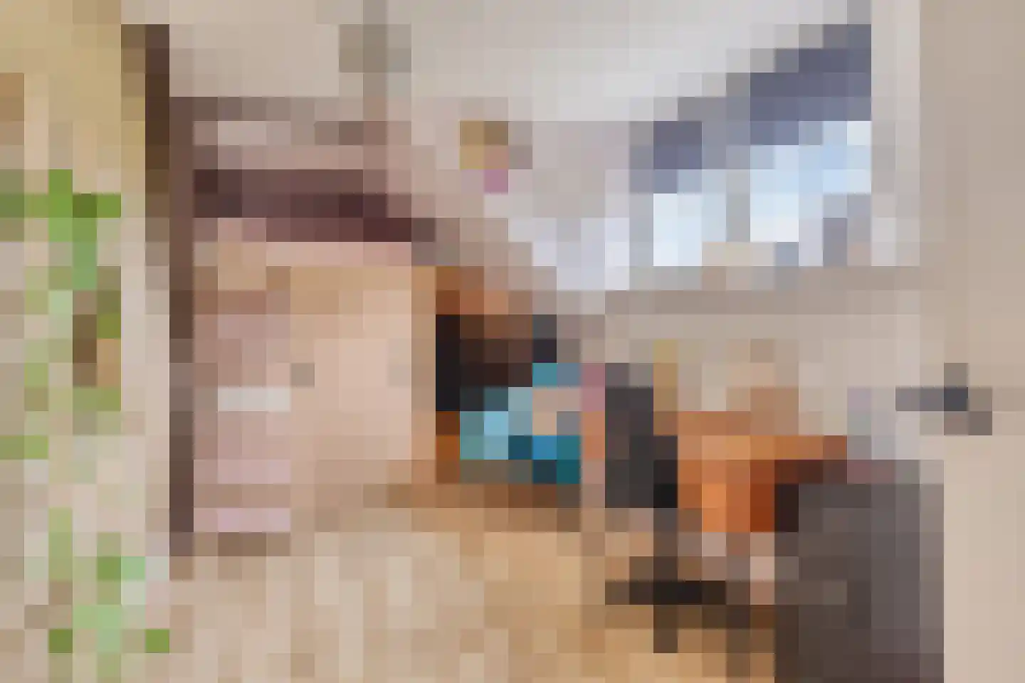Elft 73 Hippolytushoef thumbnail 46