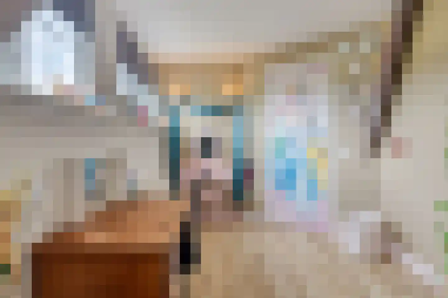 Elft 73 Hippolytushoef thumbnail 48