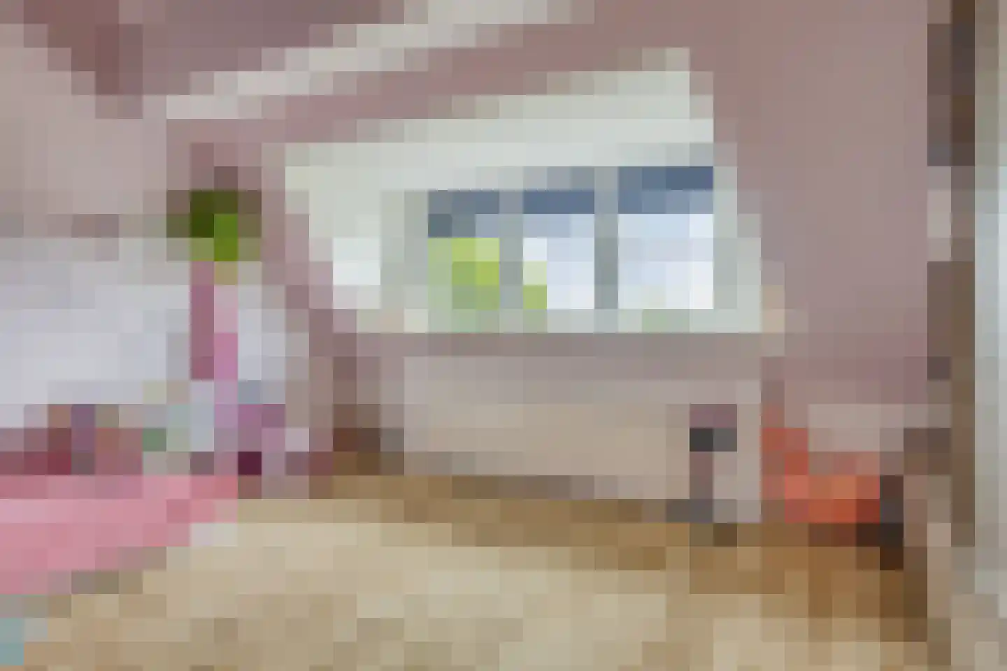 Elft 73 Hippolytushoef thumbnail 49