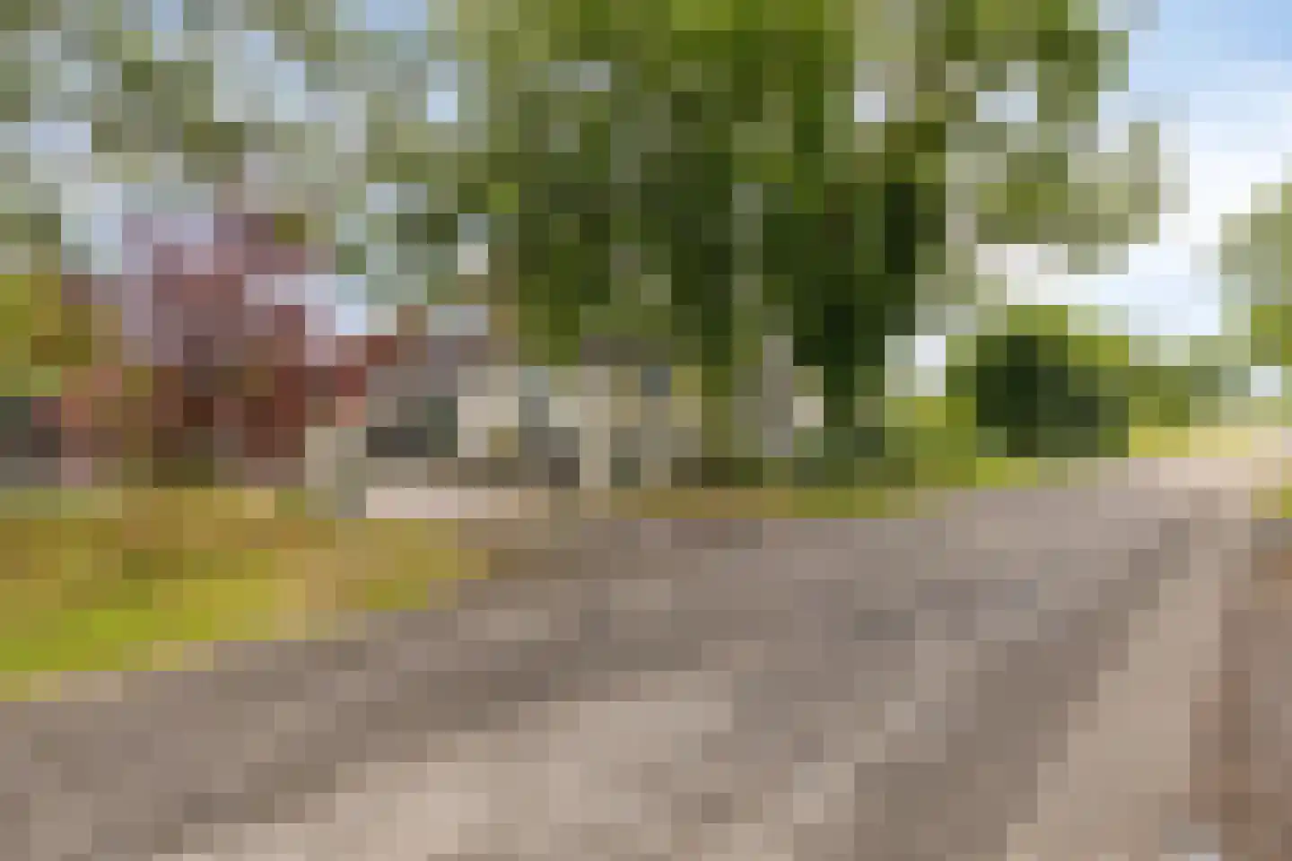 Elft 73 Hippolytushoef thumbnail 5