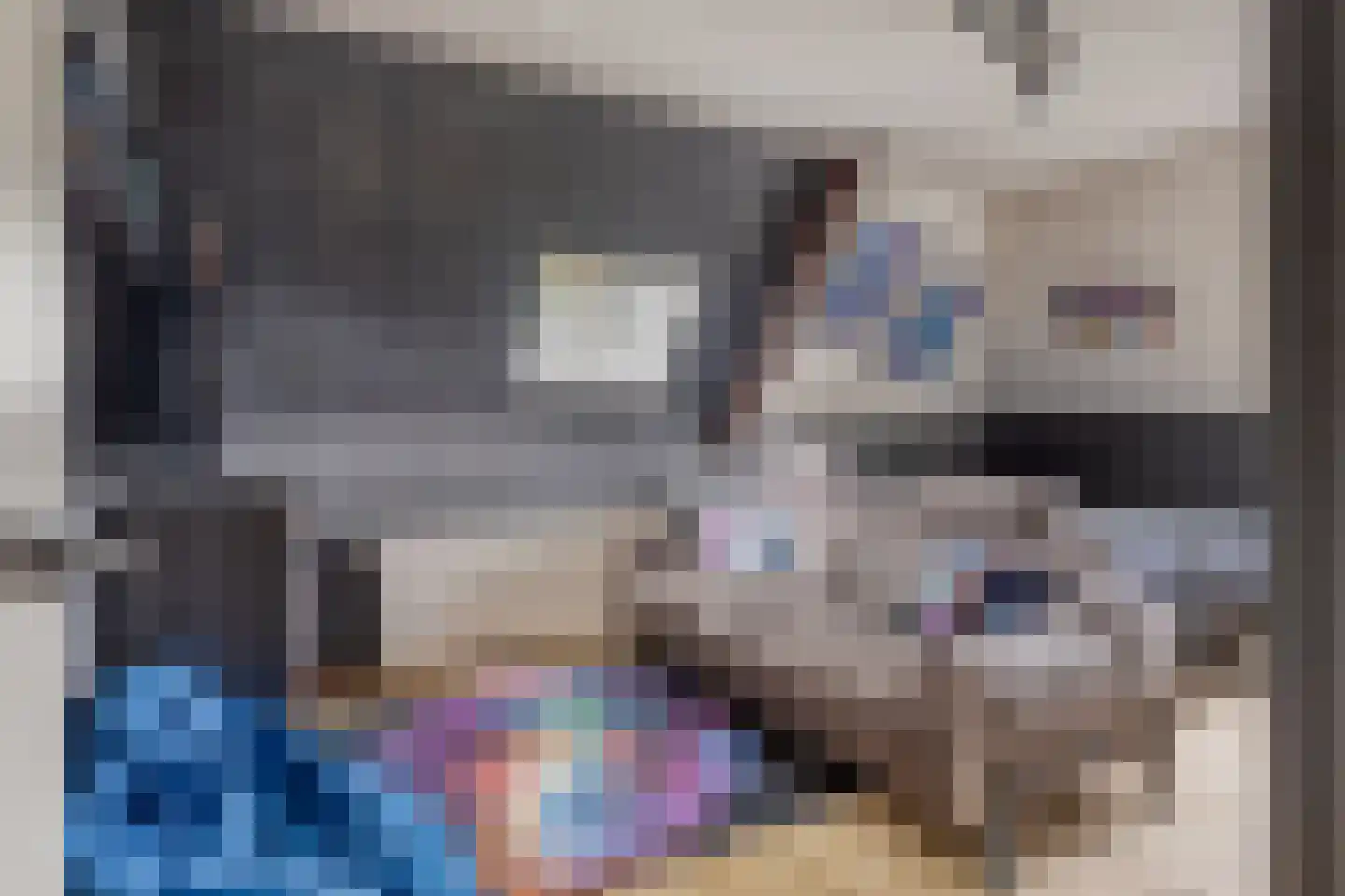 Elft 73 Hippolytushoef thumbnail 51
