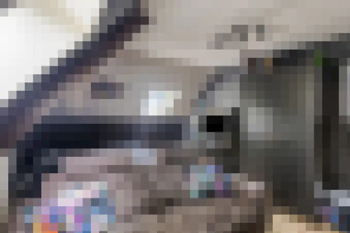 Elft 73 Hippolytushoef thumbnail 52