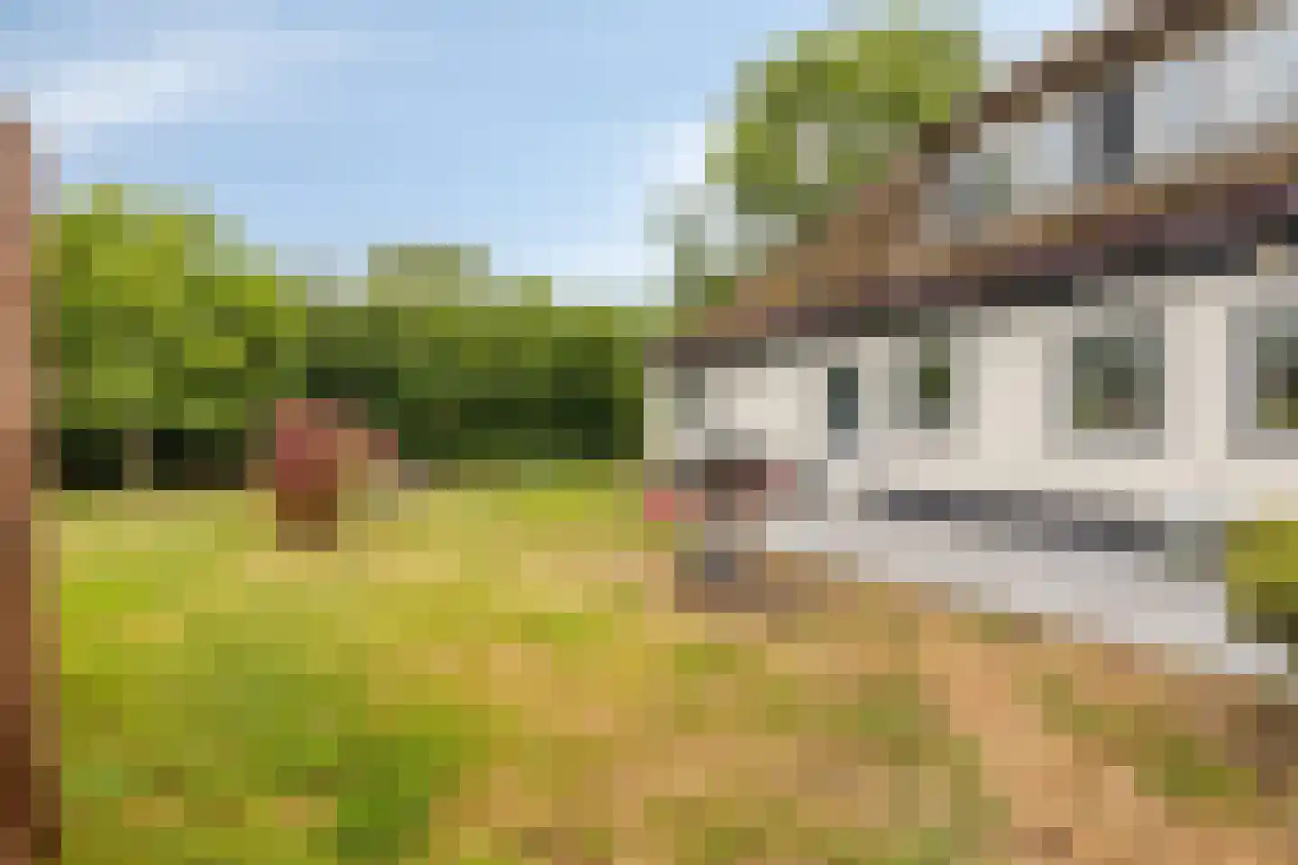 Elft 73 Hippolytushoef thumbnail 59