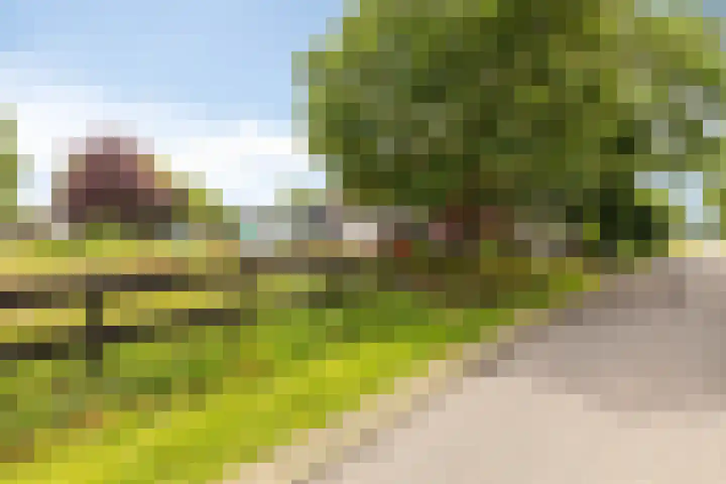 Elft 73 Hippolytushoef thumbnail 6