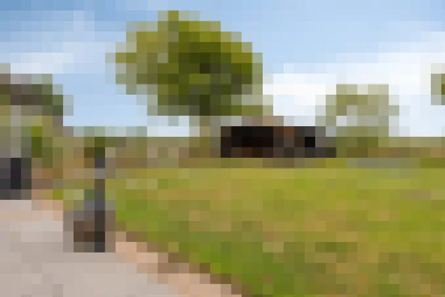 Elft 73 Hippolytushoef thumbnail 62