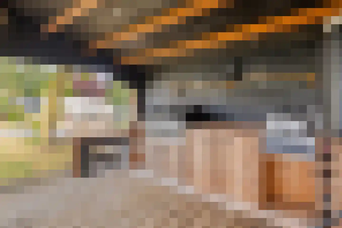 Elft 73 Hippolytushoef thumbnail 69