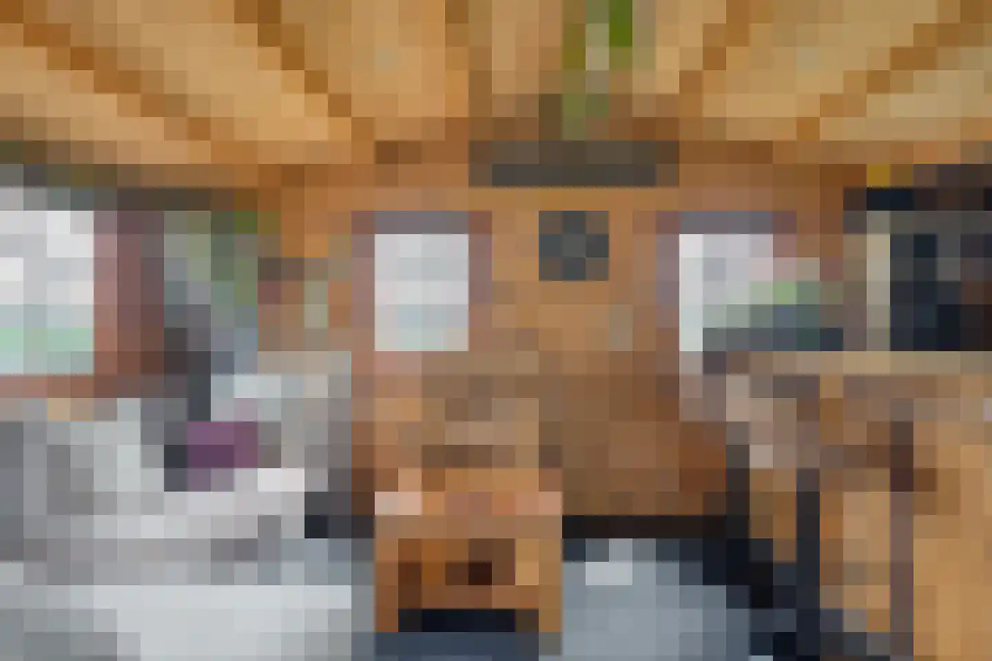 Elft 73 Hippolytushoef thumbnail 70
