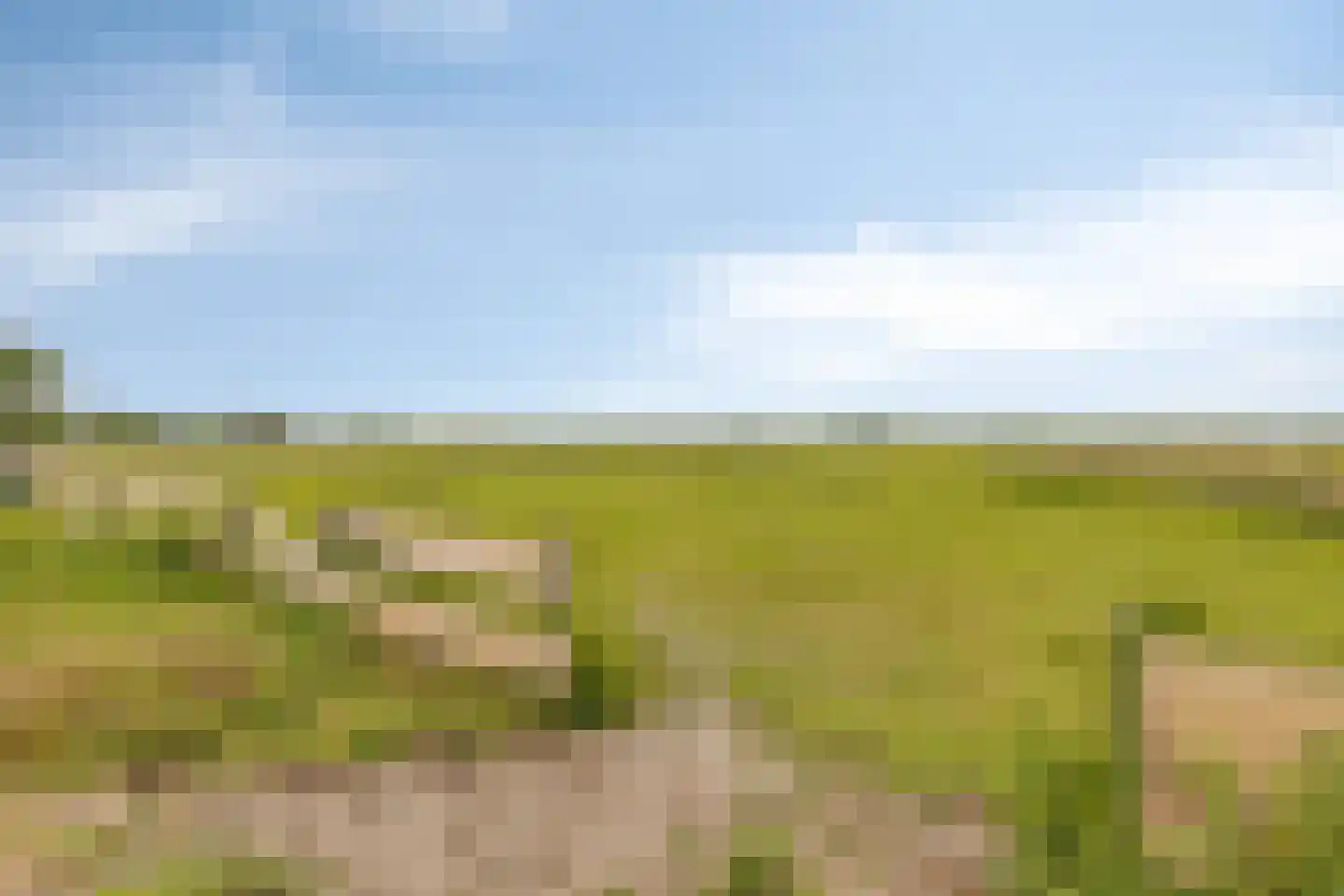 Elft 73 Hippolytushoef thumbnail 75
