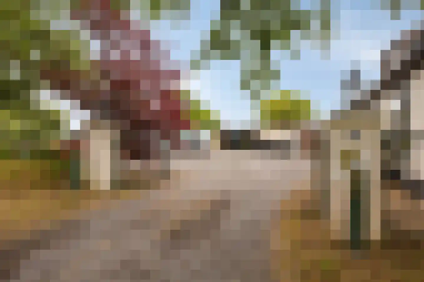 Elft 73 Hippolytushoef thumbnail 8