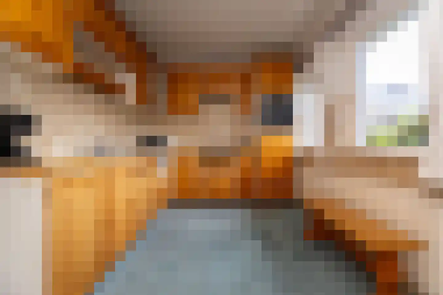 Elft 8 Hippolytushoef thumbnail 11