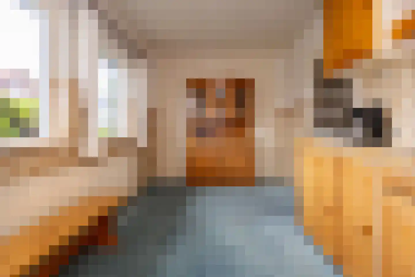 Elft 8 Hippolytushoef thumbnail 13