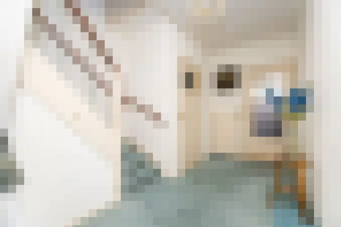 Elft 8 Hippolytushoef thumbnail 14
