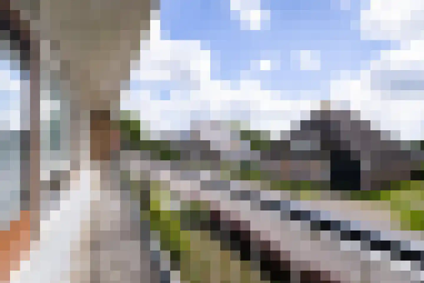 Elft 8 Hippolytushoef thumbnail 26