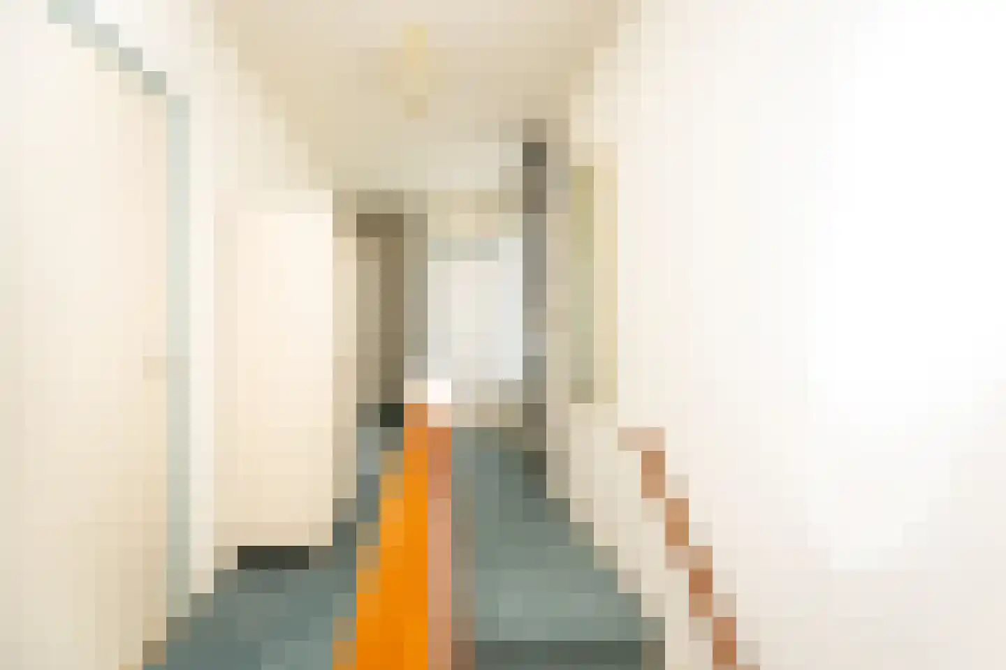 Elft 8 Hippolytushoef thumbnail 29