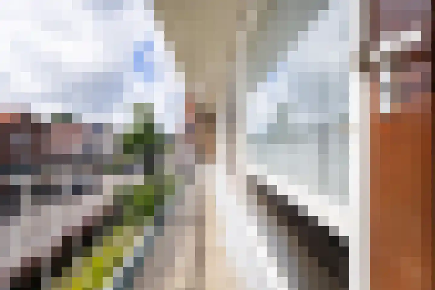 Elft 8 Hippolytushoef thumbnail 34