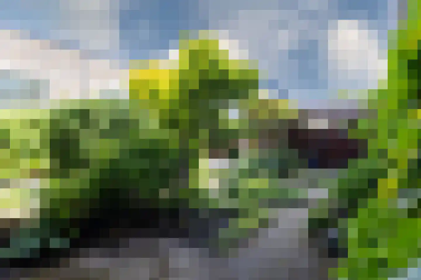 Elft 8 Hippolytushoef thumbnail 35