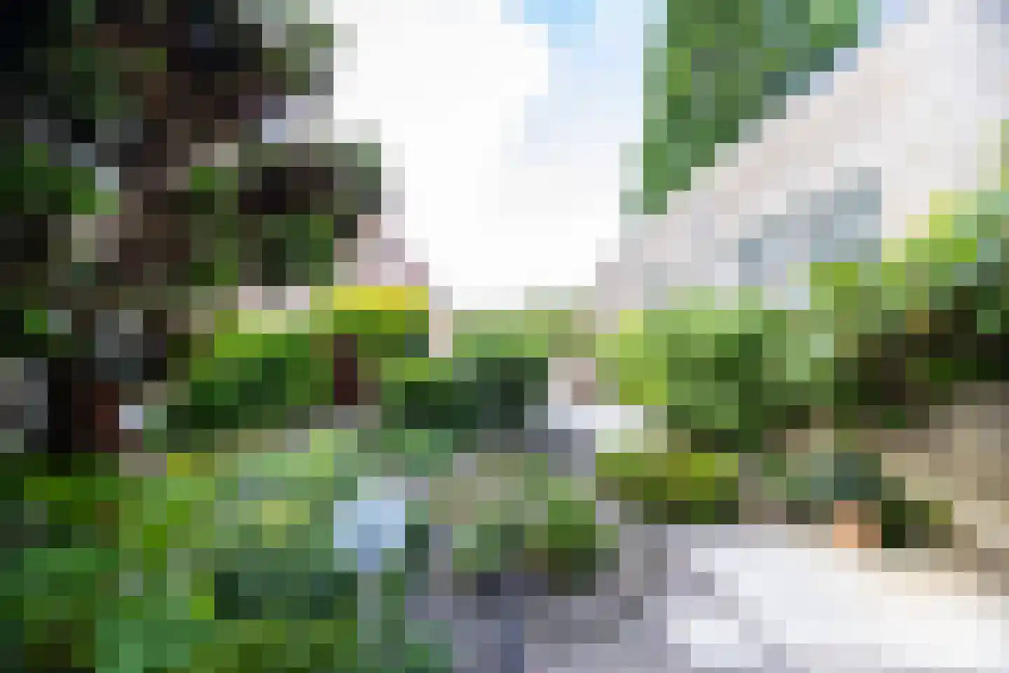 Elft 8 Hippolytushoef thumbnail 36