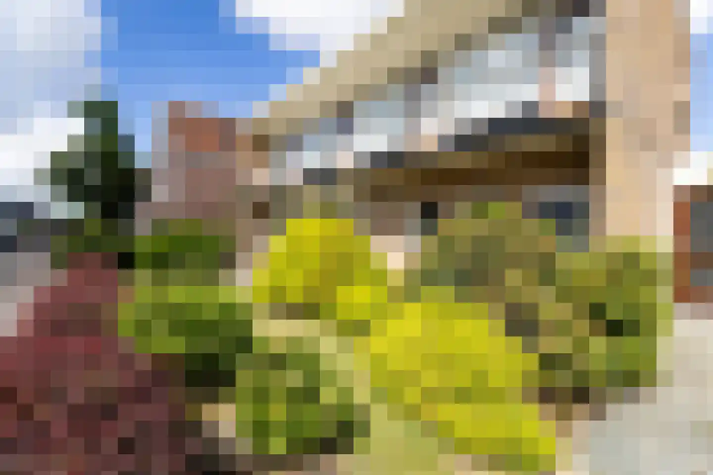 Elft 8 Hippolytushoef thumbnail 39