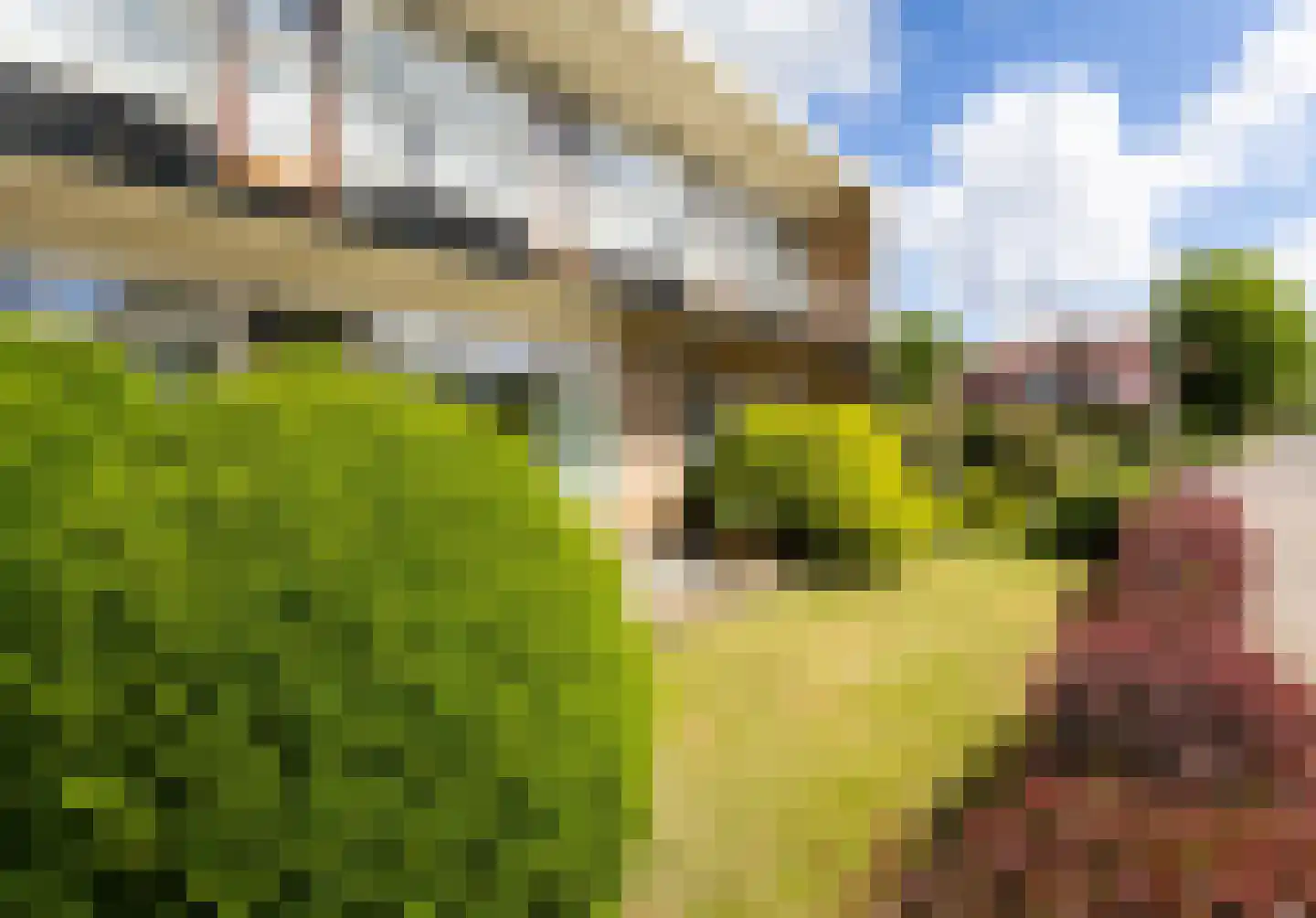 Elft 8 Hippolytushoef thumbnail 40