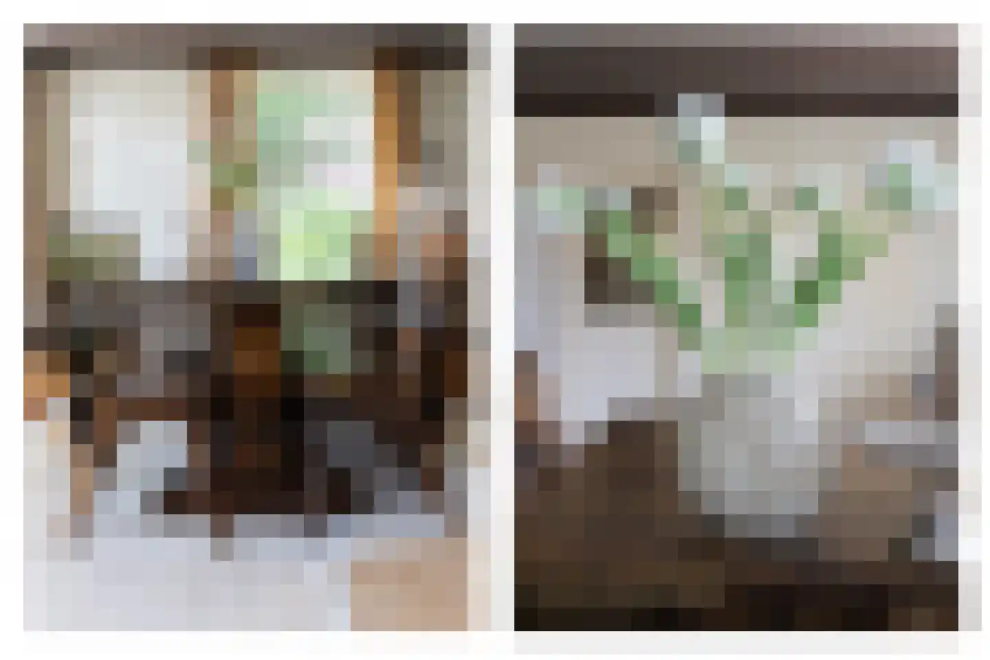 Elft 8 Hippolytushoef thumbnail 8