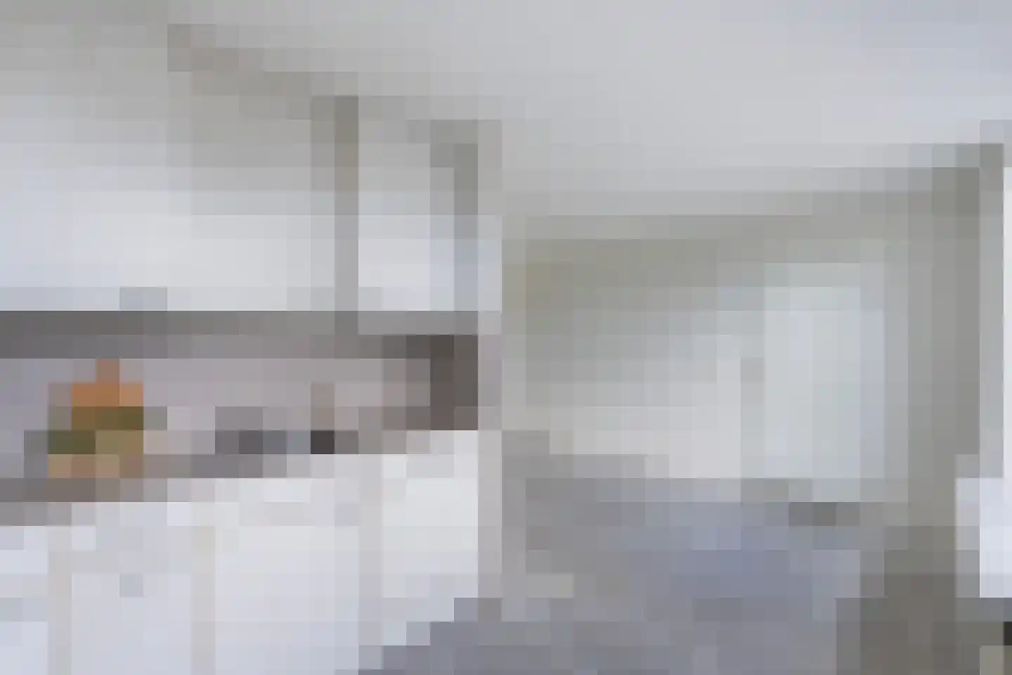Elftkolk 21 Zwolle thumbnail 13