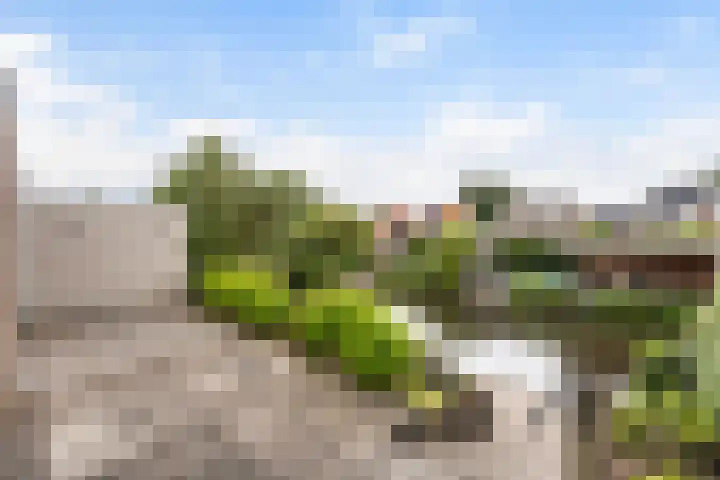Elftkolk 21 Zwolle thumbnail 14