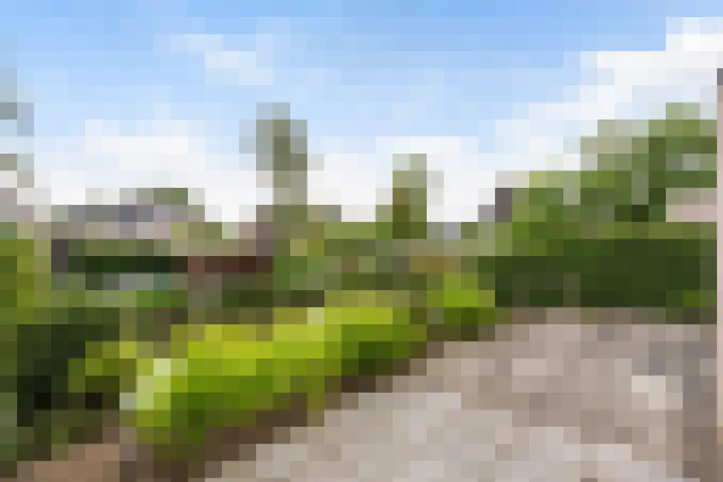 Elftkolk 21 Zwolle thumbnail 15