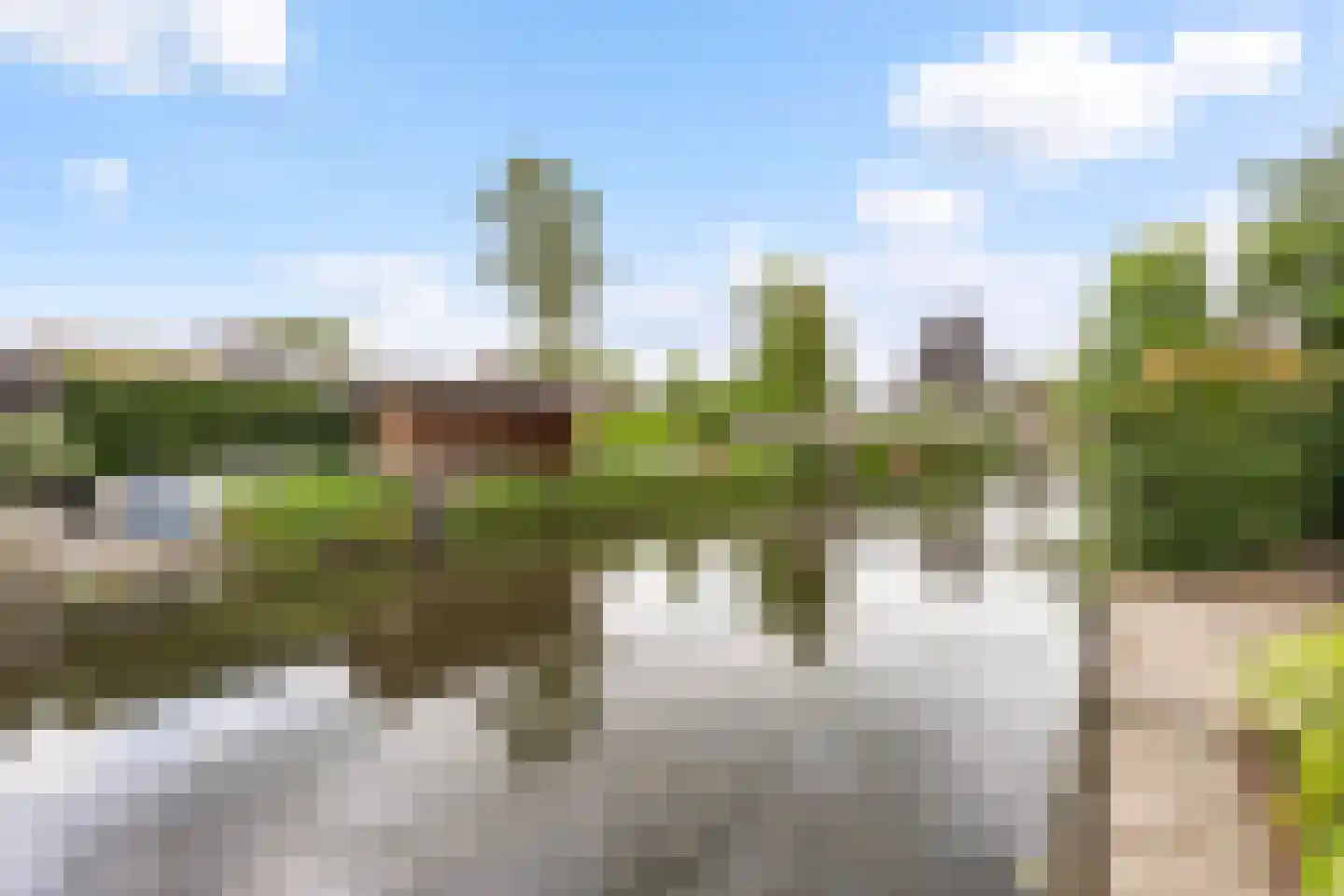 Elftkolk 21 Zwolle thumbnail 17