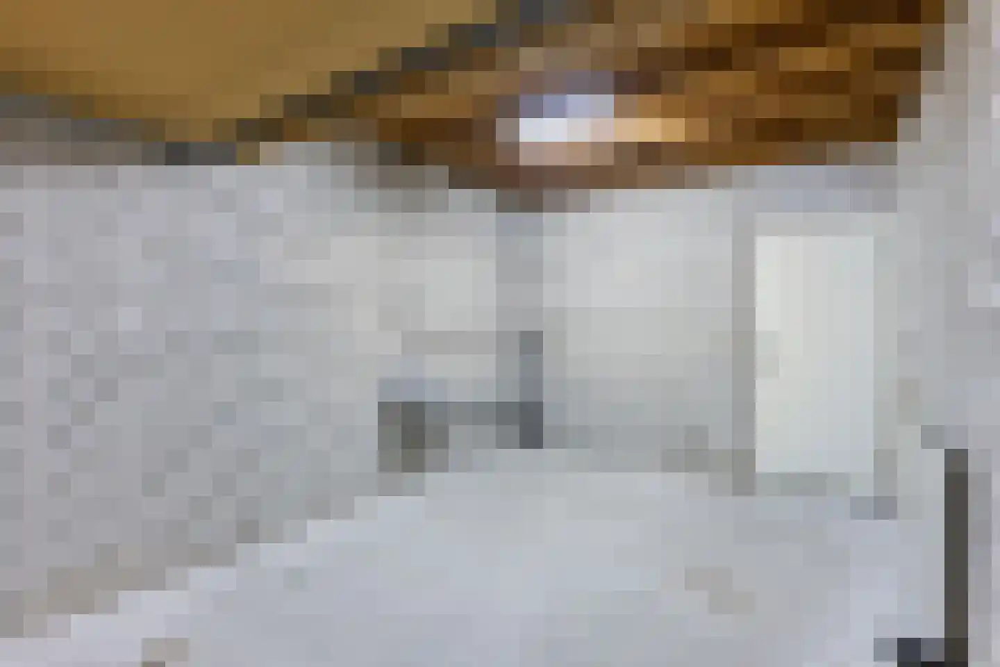 Elftkolk 21 Zwolle thumbnail 32