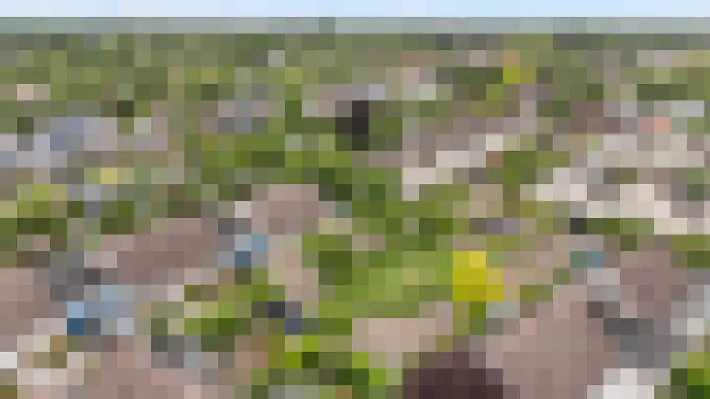 Elftkolk 21 Zwolle thumbnail 33
