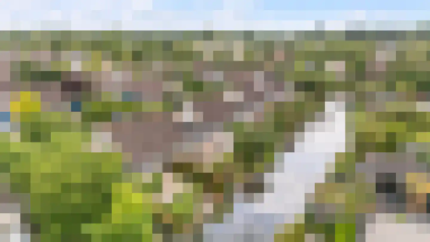 Elftkolk 21 Zwolle thumbnail 35