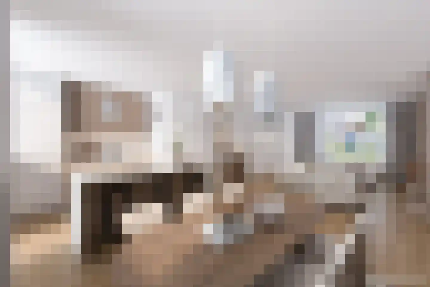 Elftkolk 21 Zwolle thumbnail 7
