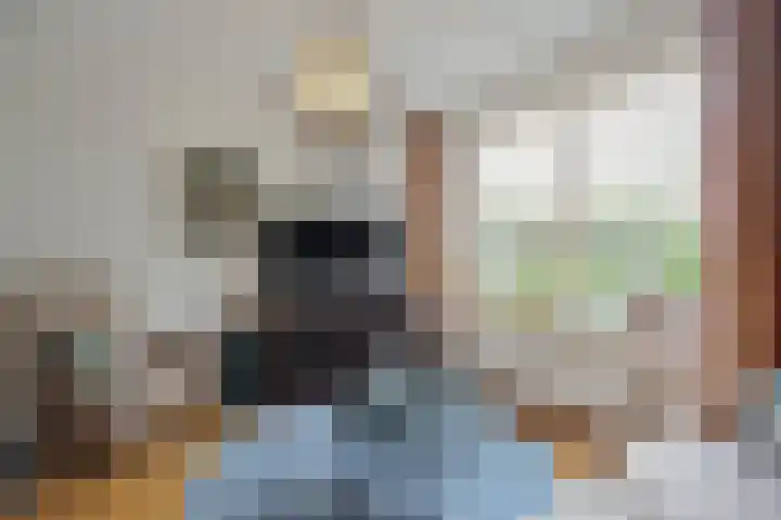 Elftstraat 10 Hippolytushoef thumbnail 9