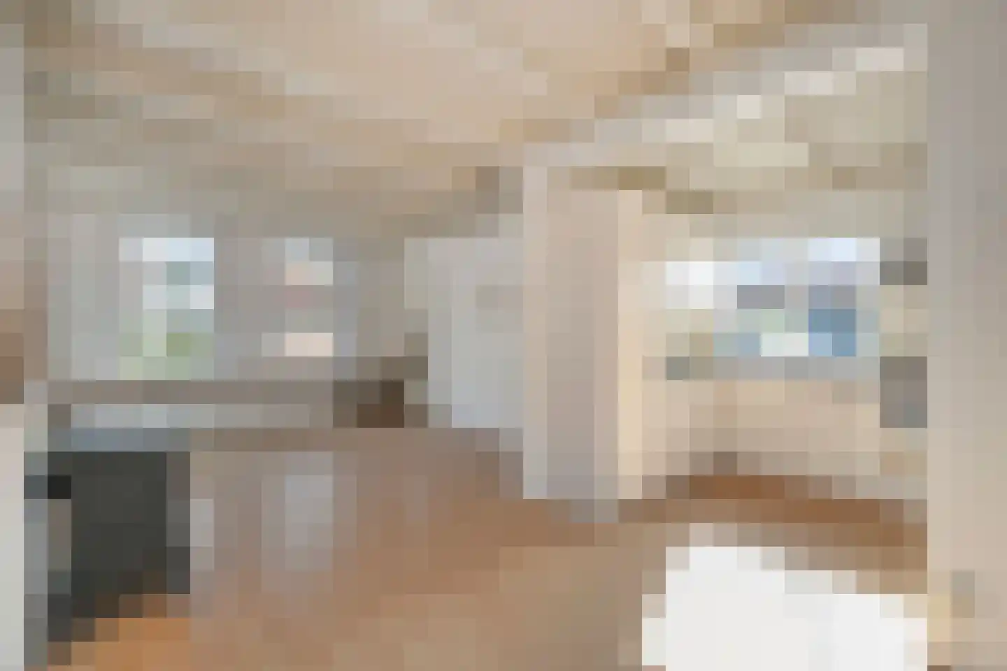 Elftstraat 6 Hippolytushoef thumbnail 11
