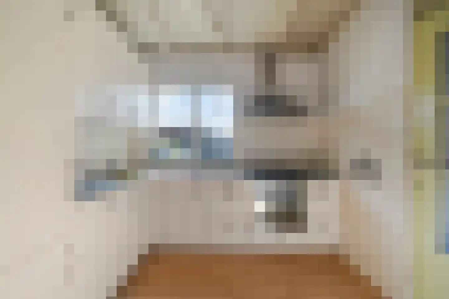 Elftstraat 6 Hippolytushoef thumbnail 12