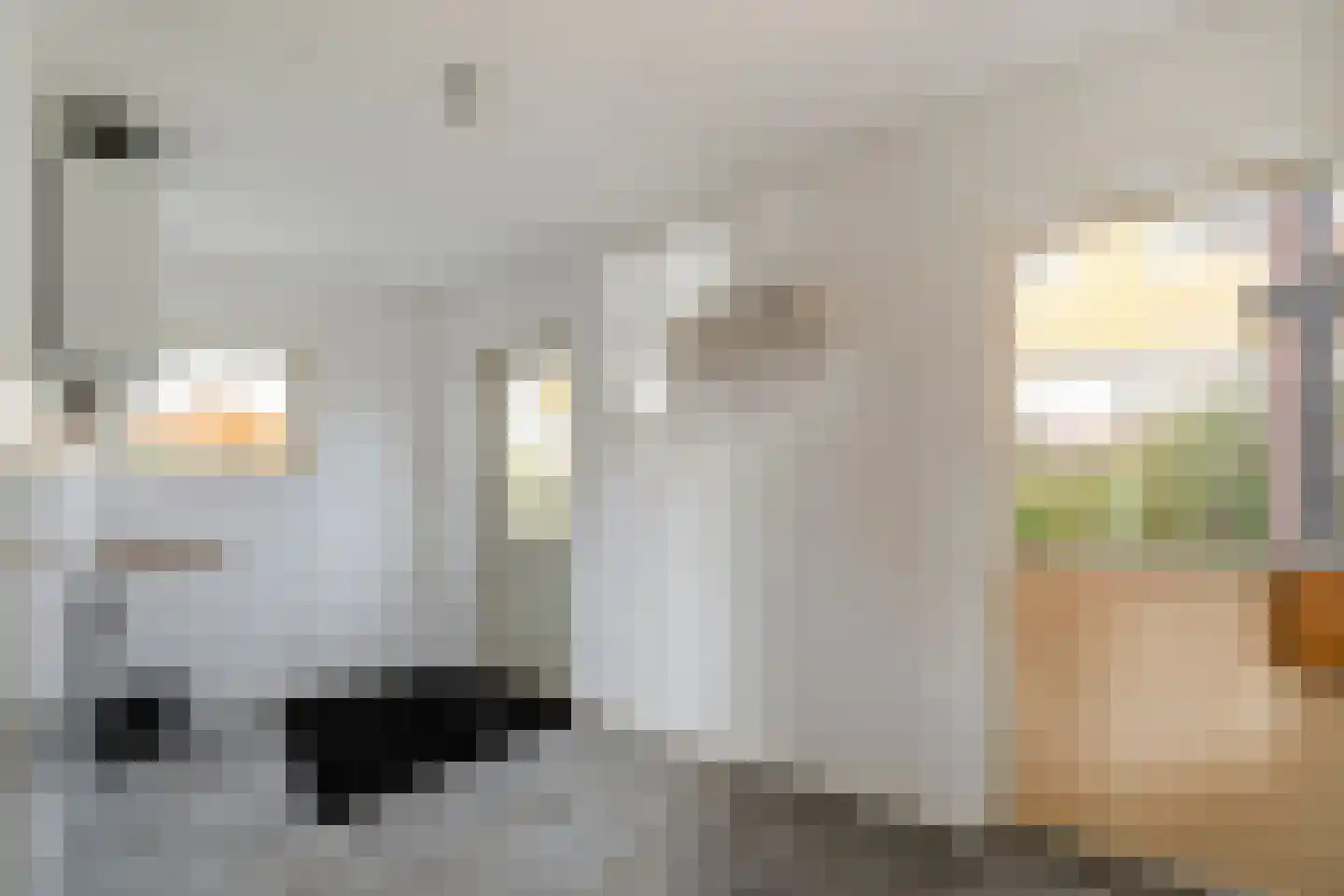 Elftstraat 6 Hippolytushoef thumbnail 19