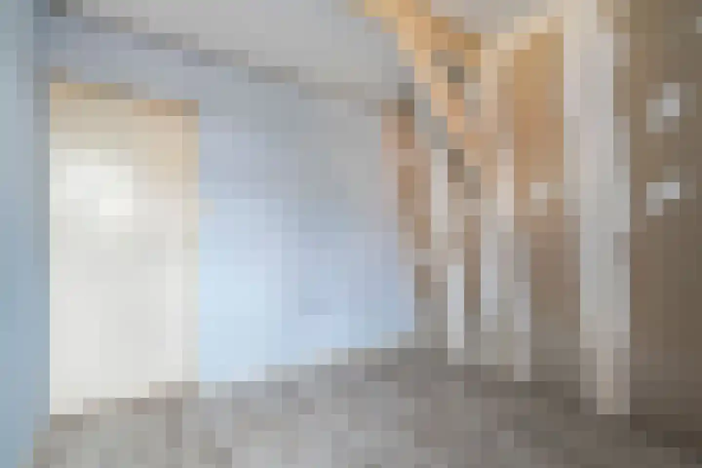 Elftstraat 6 Hippolytushoef thumbnail 21