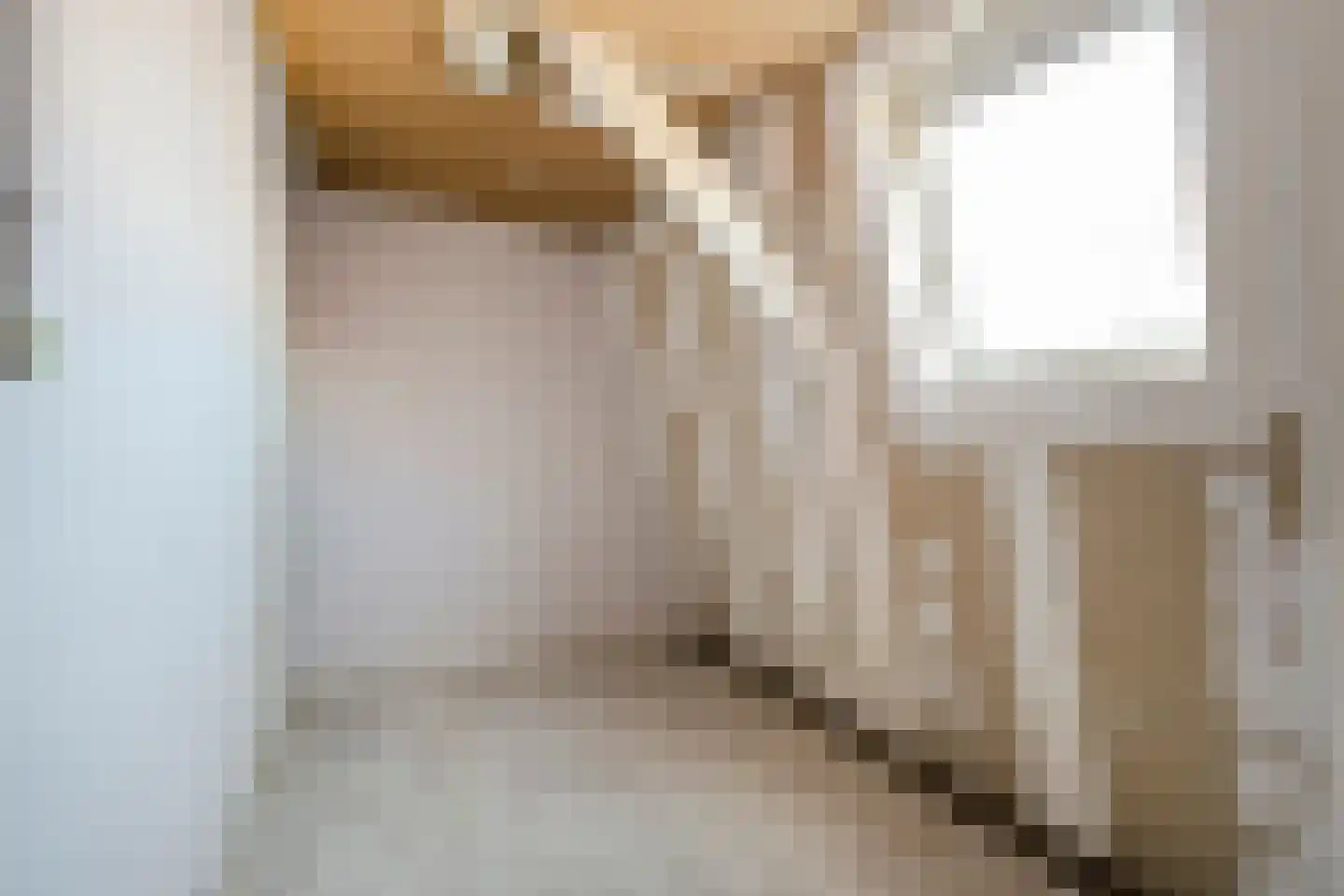 Elftstraat 6 Hippolytushoef thumbnail 22