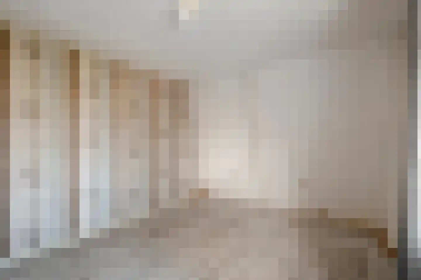 Elftstraat 6 Hippolytushoef thumbnail 26