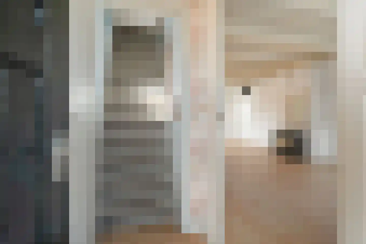 Elftstraat 6 Hippolytushoef thumbnail 5
