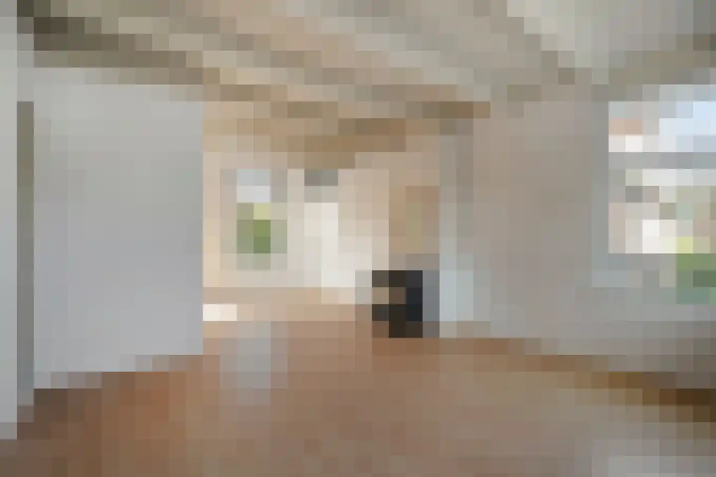Elftstraat 6 Hippolytushoef thumbnail 6